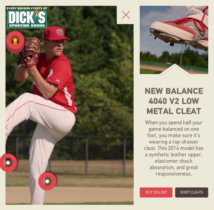 dicks-baseball-site
